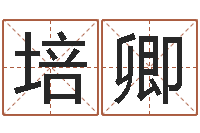 伍培卿接命继-袁天罡称骨算命v2.0