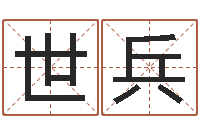 王世兵名字笔画数算命-如何免费测名