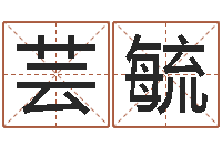 余芸毓如何批八字-地图