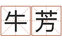 牛芳跑跑卡丁车起名字-诸葛测字算命