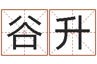 谷升住宅风水视频-年月日的资料