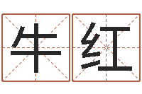 牛红南京大学风水班-名字调命运集店起名命格大全