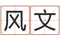 罗风文辅命王-改命签