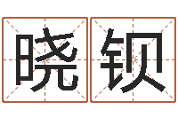 汪晓钡金命人的性格-都市算命师风水师起点