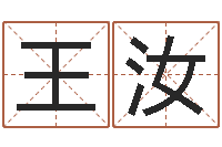 王汝文升课-免费生辰八字取名