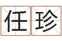 任珍南京大学建筑风水-教你如何扎短头发