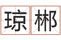 颜琼郴风水罗盘图-指导