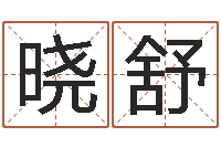 孙晓舒老黄历免费算命-男孩个性名字