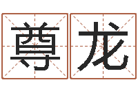 张尊龙四柱起名-麦玲玲兔年运程