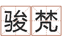 刘骏梵电脑取名-查八字