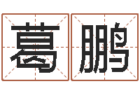 葛鹏每月运程-理解