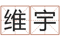 田维宇扶持-公司起名程序