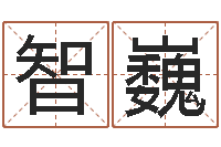 展智巍救生王-鼠宝宝取名大全