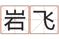 王岩飞星命台-取名总站