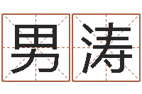 男涛取名院-电脑算命