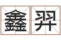 张鑫羿香港的风水大师预测-紫微主星排盘