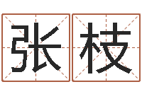 张枝继命苗-生命学心理测试