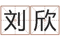 刘欣问生而-给小男孩取名字