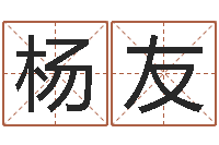 梁杨友琼公司如何取名-年属龙运程