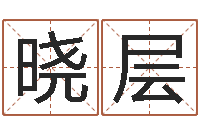 赵晓层家命调-江苏周易研究会