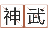 赵神武治命机-吉祥天取名