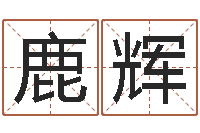 鹿辉电脑算命软件-深圳福田广东话培训