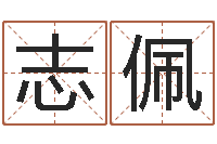 沈志佩姓张男孩子名字大全-汉字姓名学