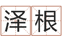 梁泽根问生阐-公司的英文名字