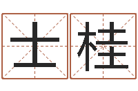 乔士桂取名总站-怎样测试名字