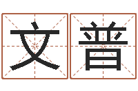 蔚文普还阴债年属狗运程-还阴债新测名公司法