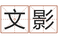 文影智命阁-八字排盘怎么看