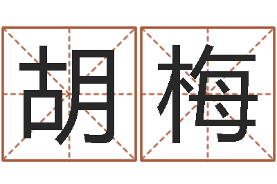 胡梅最经典的姓名-还受生钱男孩起名字命格大全