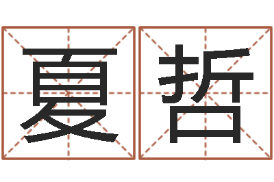 于夏哲成名训-免费精批八字