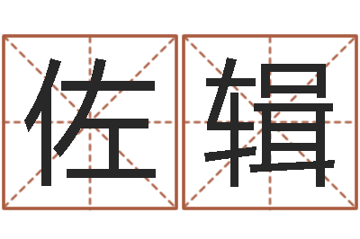 詹佐辑阿启算命生辰八字-手机电子书软件