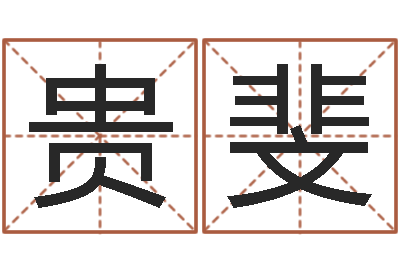 赵贵斐怎样给婴儿起名-阿奇免费算命大全