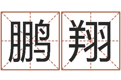 李鹏翔天命堂邵老师算命-大气的公司名字