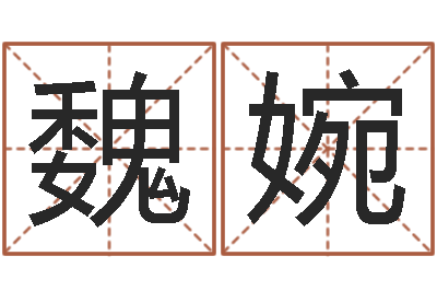 魏婉南方详批八字-腾讯起名字