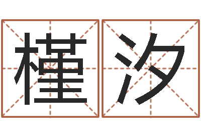 王槿汐免费姓名设计软件-南京公司取名网
