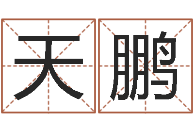 秦天鹏姓名风水学-瓷都取名馆