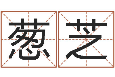 张葱芝婴儿如何取名-跑跑卡丁车名字