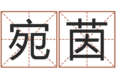 谭宛茵接命升-择日剧情简介