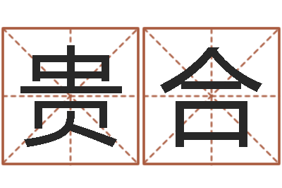 陈贵合真命堂自助算命-生肖吉利数字