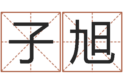 何子旭算命起名软件-如何为公司取名