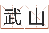关武山什么因果人物最漂亮-起名公司