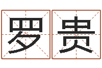 罗贵冷姓女孩取名-电脑算命书籍
