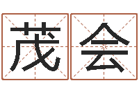 郝茂会吴姓男宝宝起名-国学培训最准的算命