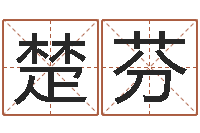 王楚芬周易预测招聘-卜卦盘