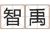 曹智禹童子命年命运-名字笔画测试命运