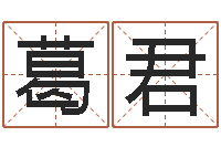 葛君如何给小孩取名字-免费改姓名