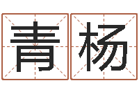 张青杨婴儿最好的食品是什么-放生有什么好处